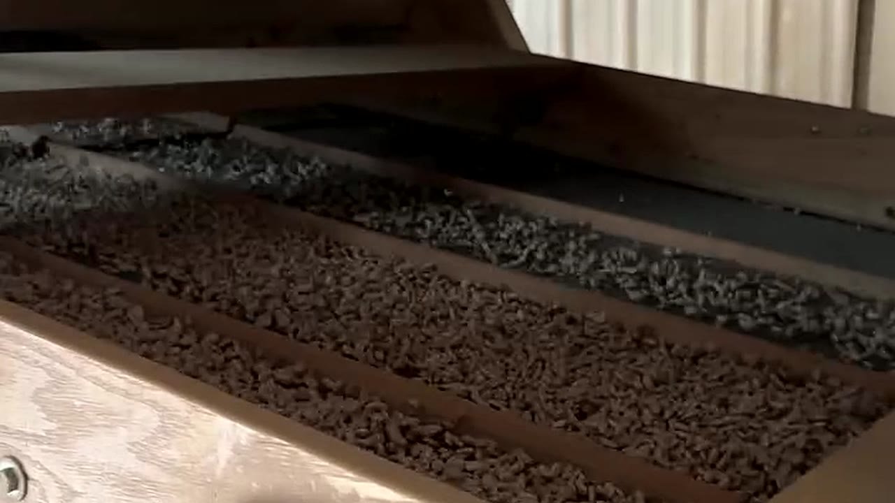 Criba en operación