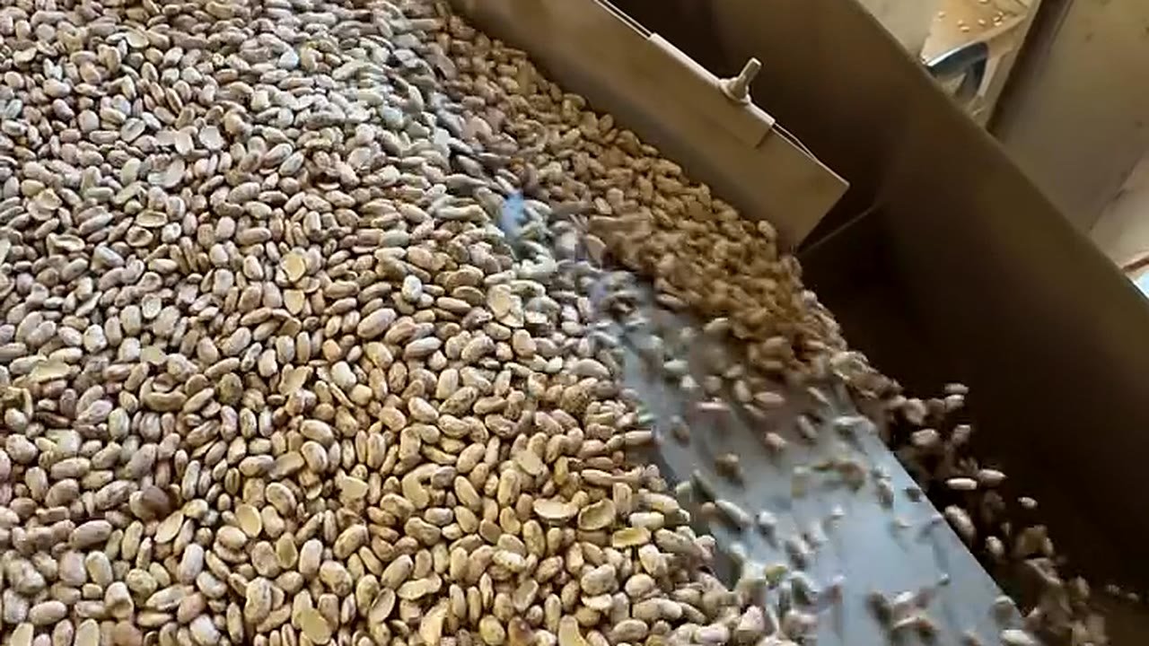 Grano limpio en cascada