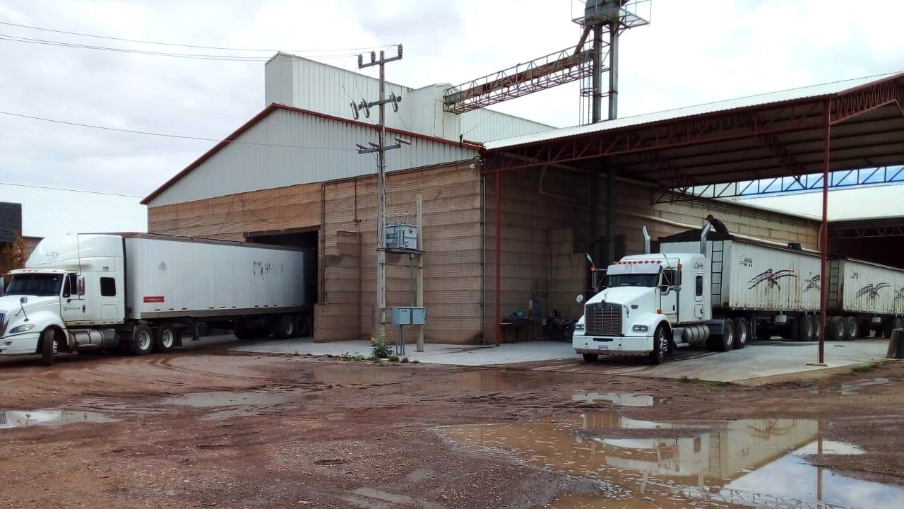 Bodega de recepción con unidades descargando