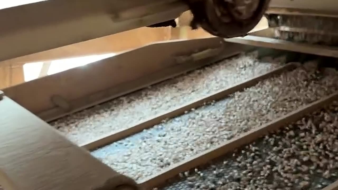 Grano sobre la despedradora