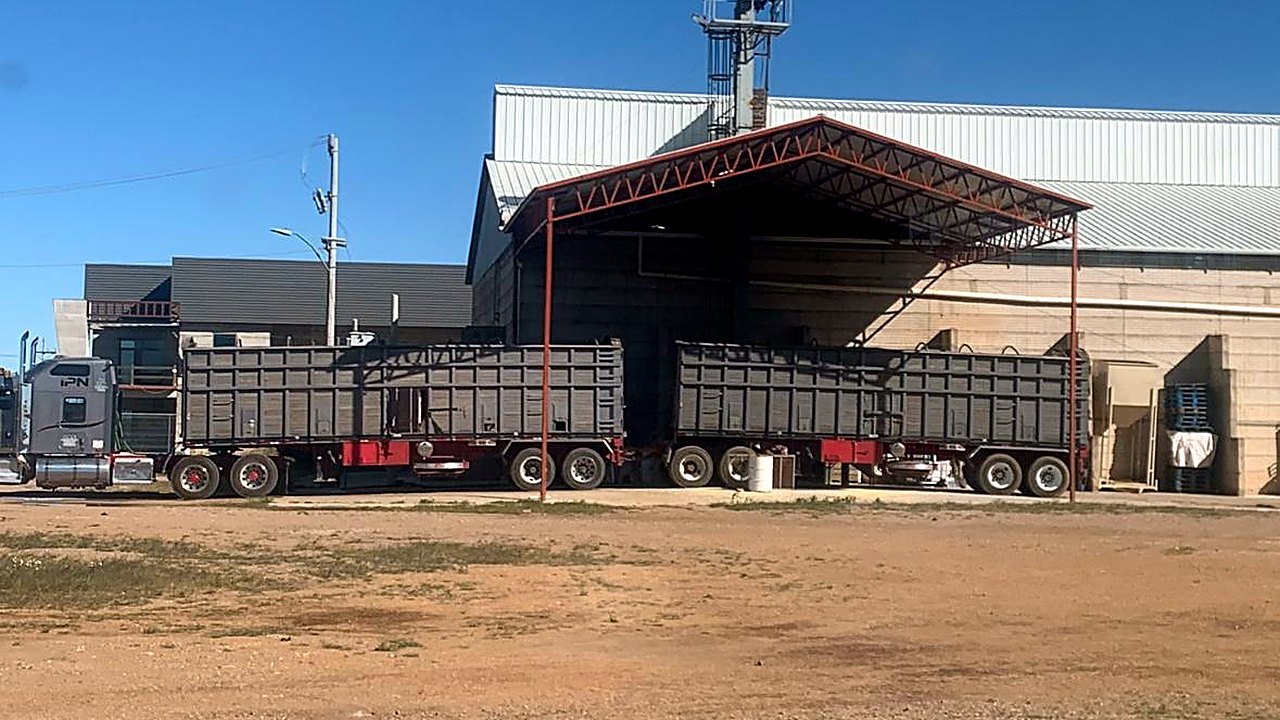 Tractocamión con dos jaulas en la báscula de Fortaleza Agrícola